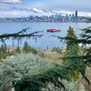 Mon Ami Arborist Services