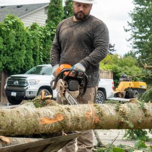 All Seasons Tree Service