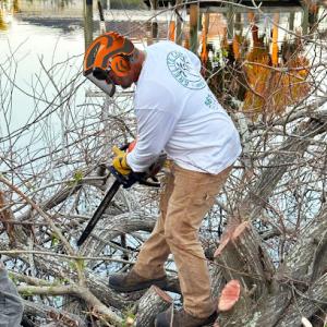 Grelite Tree Trimming & Stump Grinding