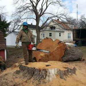 Manny's Tree Service & Landscaping