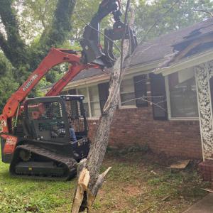 Douglas County Tree Service