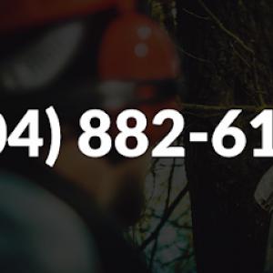 All In Tree Service of Hiram