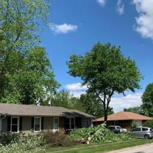 Tharp's Lawn Care & Tree Service