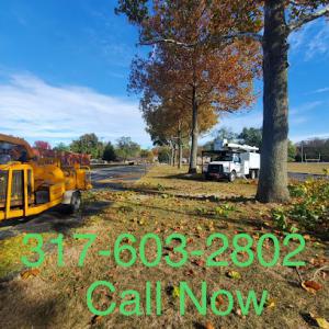 Pablo's Tree Service