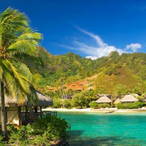 Starfarms Conservation