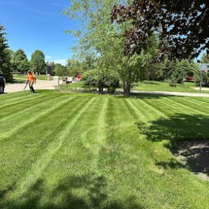 T&J Lawn & Landscape