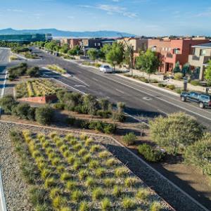 Yellowstone Landscape