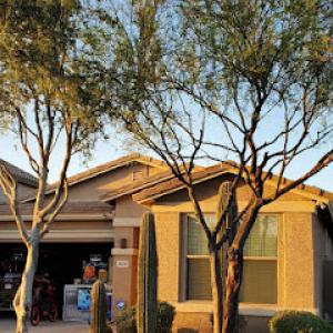 DD Landscaping Surprise AZ