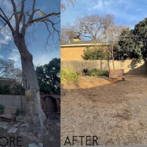 Platinum Tree Service