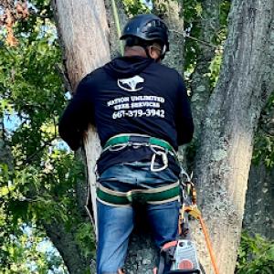Nation Unlimited Tree Services