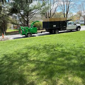 Edwards Tree & Landscape