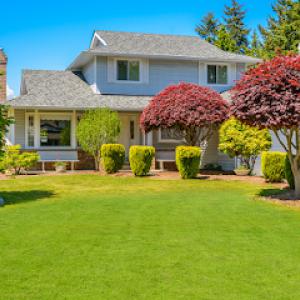 Reliable Tree & Landscape