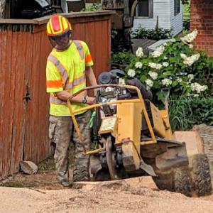 Veld Bros Lawn Care & Stump Removal