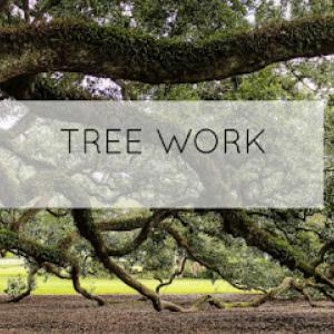 Green Star Tree & Excavating