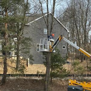 Taylor's Tree Service