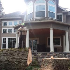 Arbor City Tree Care