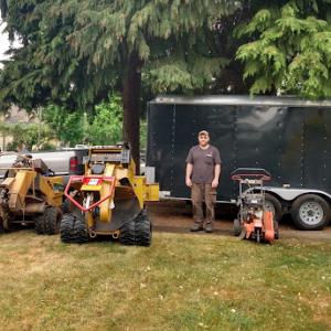 Affordable Stump Grinding