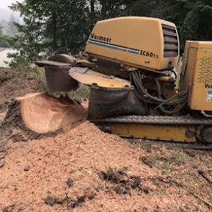 JB Stump Grinding - Stump Removal Business