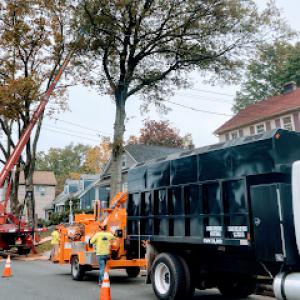 Giron's Tree Service