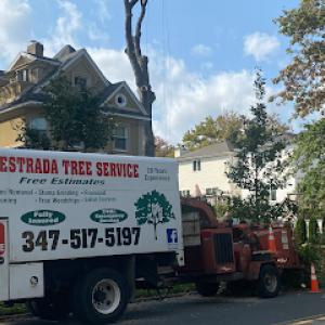 Estrada Tree Service