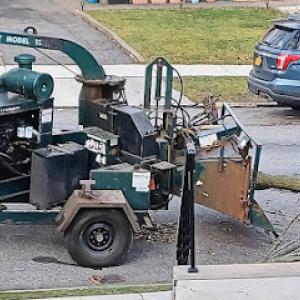 Neumann's Tree Service