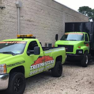 TreeMasters