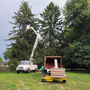 Bremen Tree Service