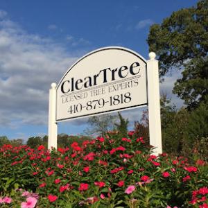 ClearTree