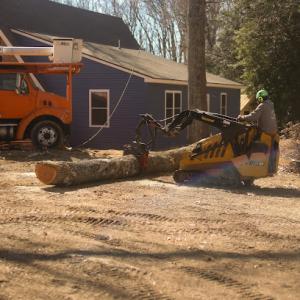 Crickets Tree Service