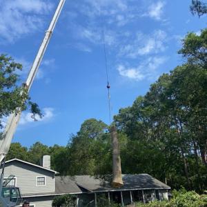 Top Notch Tree Service