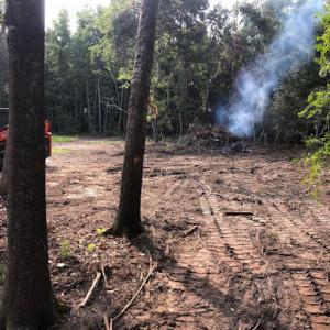 College kidd tree service,Landscapeing,& All construction
