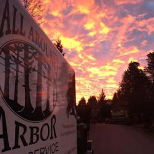 All Around Arbor Tree Service