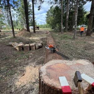 Schultz Land Management