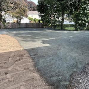 603 Yard & Tree Service