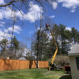 Southern NH Land Specialist