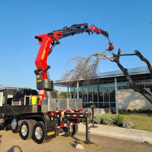Texas Tree Transformations Irving