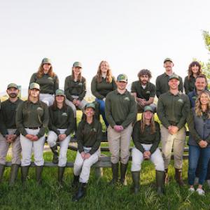 Yard Guard Lawn & Tree Care