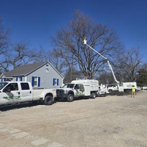All Around Tree Care Services