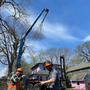 Wigginton Tree Service
