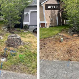 Stump Grinding Northwest