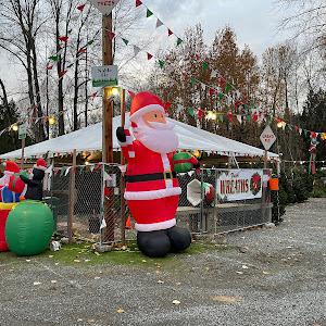 MJW Christmas Trees & Wreaths