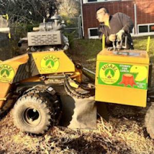 Misael Tree Services
