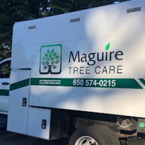 Maguire Tree Care