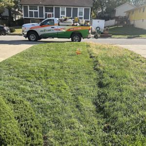 Pro Turf Lawn Service