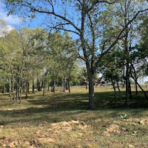 Otto's Environmental Improvements