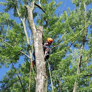 Columbia Tree & Lawn Service