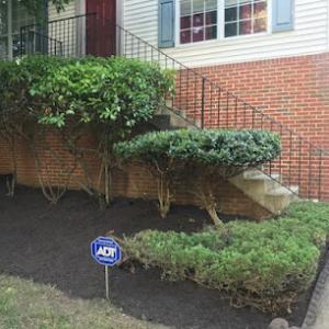 Whitfield Lawn Service