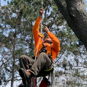 Cruz Tree Services