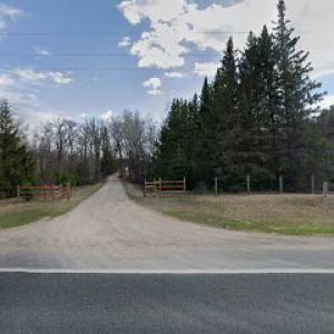 Kolstad tree & shrub care