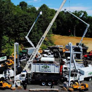 Rick's Expert Tree Service